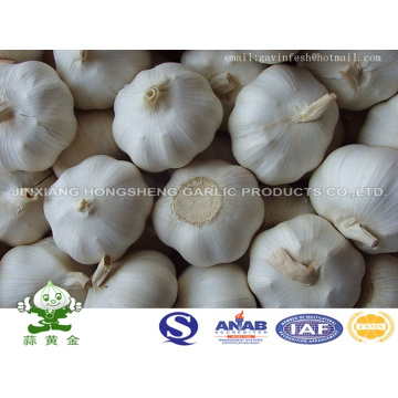 Jinxiang Pure White Garlic New Crop 2016